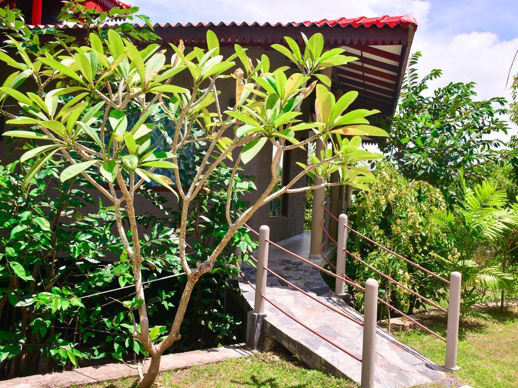 Bed and Breakfast Mass Eco Cabana Yoga & Spa - Unawatuna Exterior foto